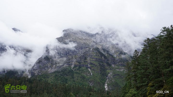  云南第三天：③玉龙雪山_云杉坪DSC06916