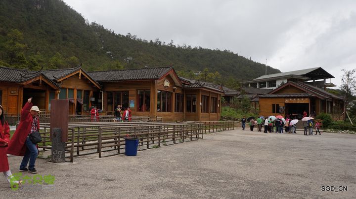  云南第三天：③玉龙雪山_云杉坪DSC06937