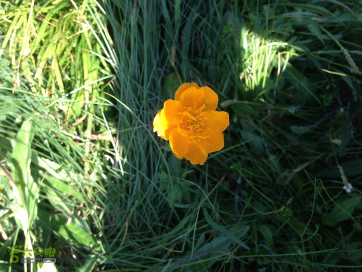 绿野网团建活动-老栅子村-东猴顶-孤石牧场穿越IMG_1044