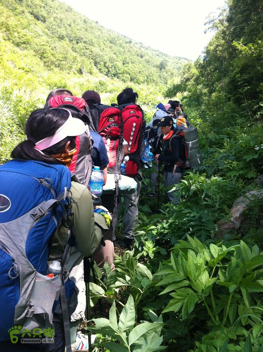 绿野网团建活动-老栅子村-东猴顶-孤石牧场穿越排成一列前进
