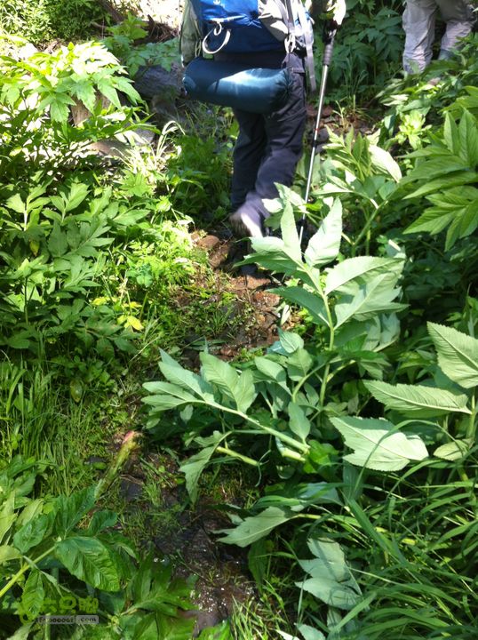 绿野网团建活动-老栅子村-东猴顶-孤石牧场穿越隐藏的水路