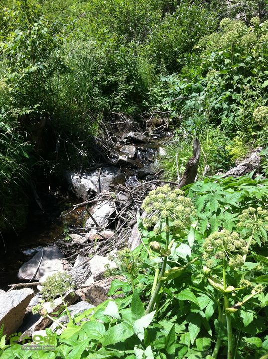 绿野网团建活动-老栅子村-东猴顶-孤石牧场穿越到这心里开始不安了