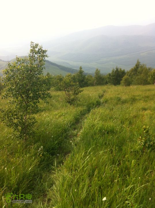 绿野网团建活动-老栅子村-东猴顶-孤石牧场穿越传说中的走的人多了就变成路