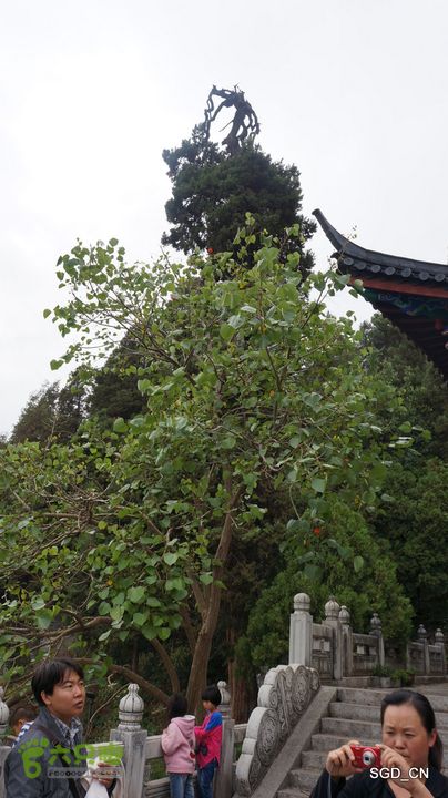云南第三天：⑥丽江_木府DSC07145
