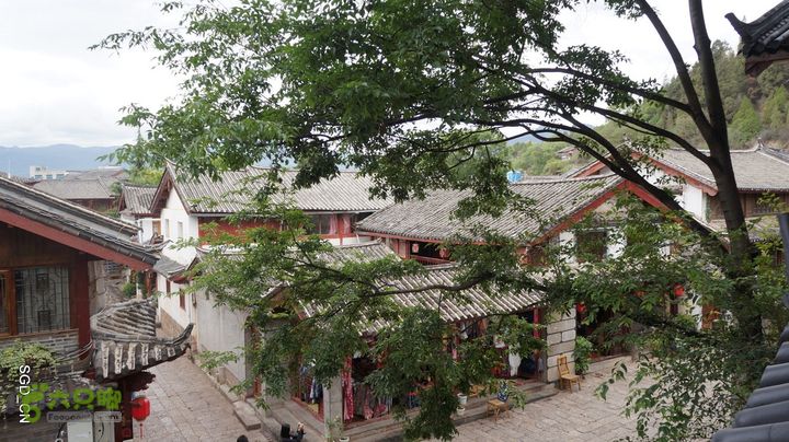 云南第三天：⑥丽江_木府DSC07116