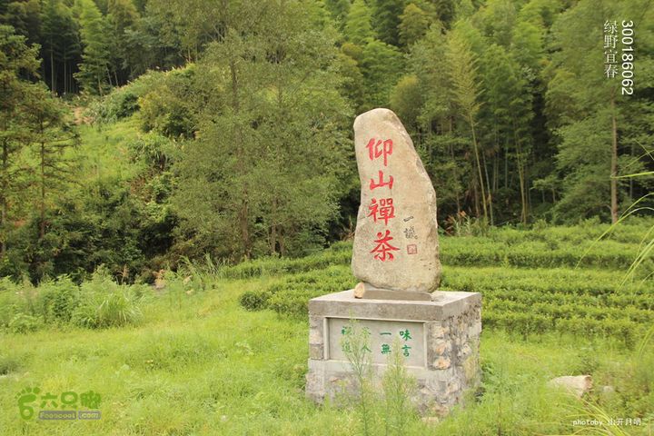 绿野到禅宗发源地-宜春仰山栖隐寺体验斋饭快乐宜春绿野 11_53_2324