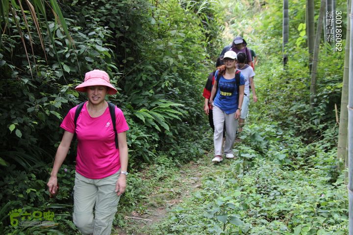绿野到禅宗发源地-宜春仰山栖隐寺体验斋饭快乐宜春绿野 12_01_1129