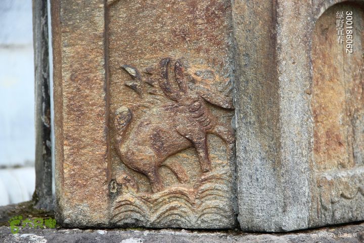 绿野到禅宗发源地-宜春仰山栖隐寺体验斋饭快乐宜春绿野 12_40_0131