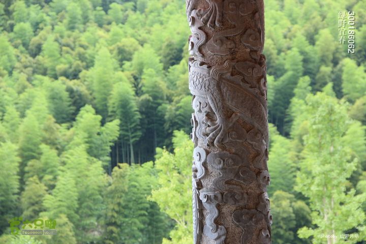 绿野到禅宗发源地-宜春仰山栖隐寺体验斋饭快乐宜春绿野 13_06_5838