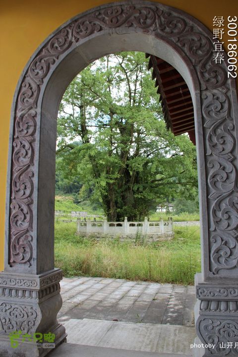 绿野到禅宗发源地-宜春仰山栖隐寺体验斋饭快乐宜春绿野 13_15_4344