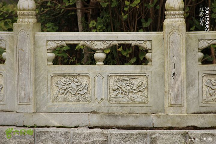 绿野到禅宗发源地-宜春仰山栖隐寺体验斋饭快乐宜春绿野 13_16_1145