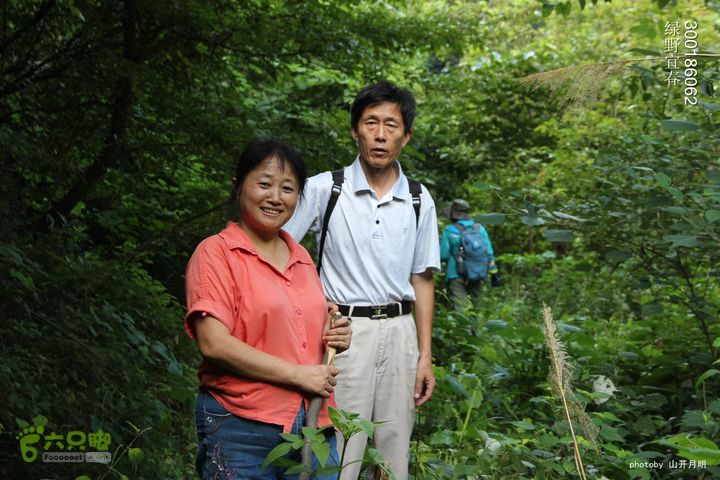 巍巍大岗增秀色-绿野一探大岗山快乐宜春绿野 08_59_3522