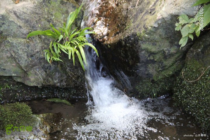 巍巍大岗增秀色-绿野一探大岗山快乐宜春绿野 09_14_0425