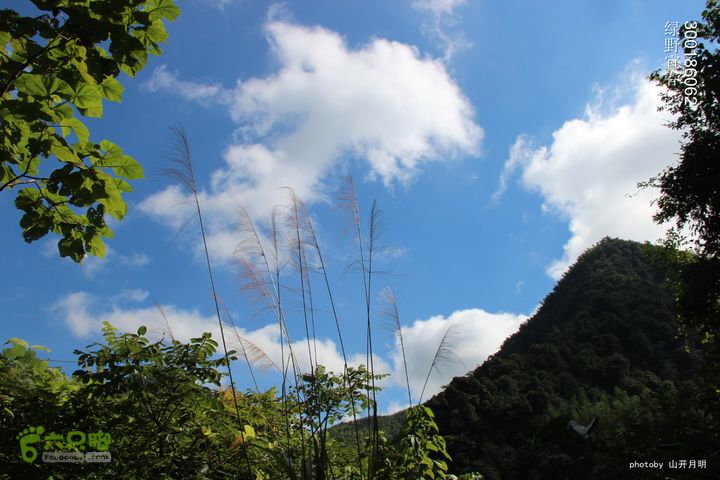 巍巍大岗增秀色-绿野一探大岗山快乐宜春绿野 09_27_5926