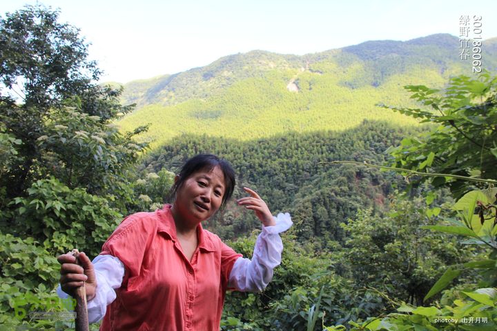 巍巍大岗增秀色-绿野一探大岗山快乐宜春绿野 09_33_3028