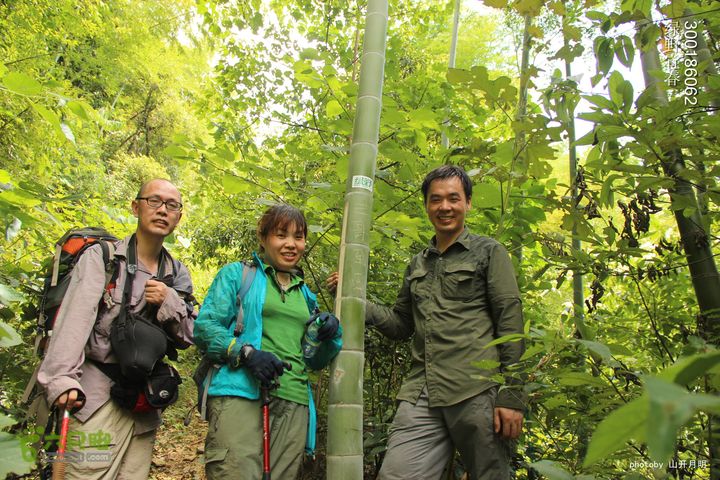 巍巍大岗增秀色-绿野一探大岗山快乐宜春绿野 14_18_4244