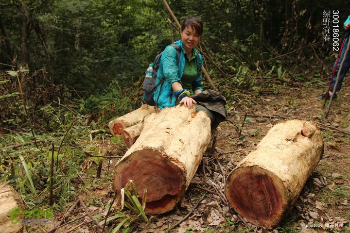巍巍大岗增秀色-绿野一探大岗山快乐宜春绿野 14_46_3251