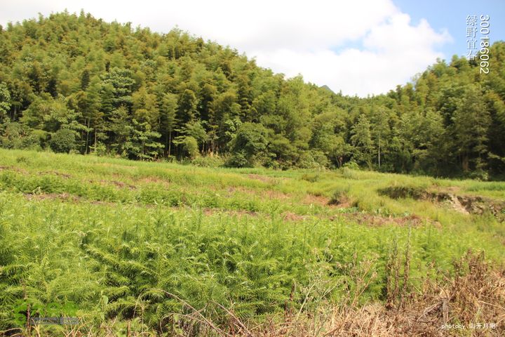 巍巍大岗增秀色-绿野一探大岗山快乐宜春绿野 15_20_0053