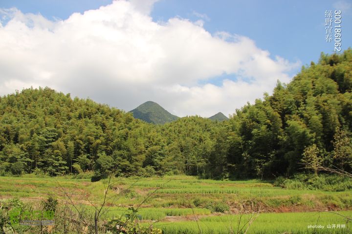 巍巍大岗增秀色-绿野一探大岗山快乐宜春绿野 15_20_4054