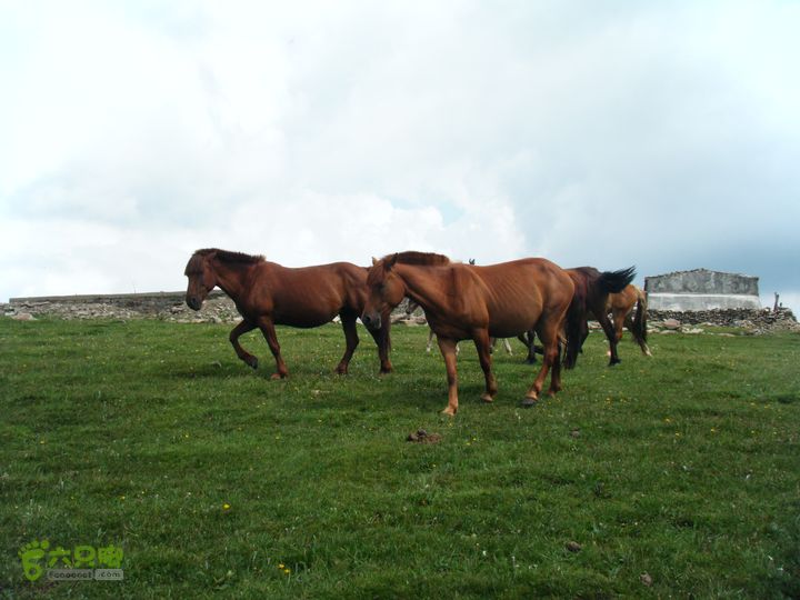 兰若寺—冻冷沟—古北台—北台—中台—西台—吉祥寺—风林寺DSCF7593