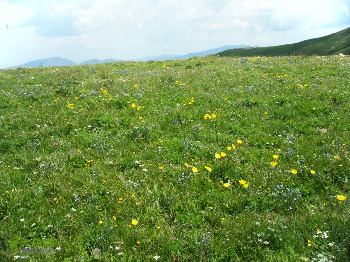 兰若寺—冻冷沟—古北台—北台—中台—西台—吉祥寺—风林寺DSCF7539