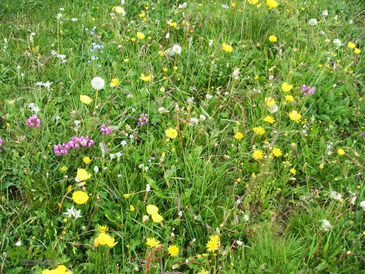 兰若寺—冻冷沟—古北台—北台—中台—西台—吉祥寺—风林寺DSCF7546