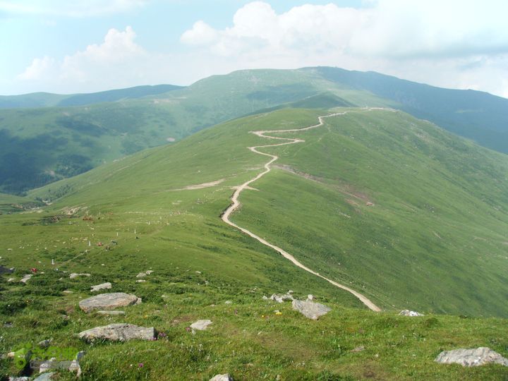 兰若寺—冻冷沟—古北台—北台—中台—西台—吉祥寺—风林寺DSCF7610