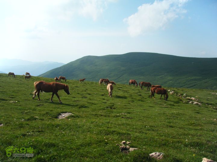 兰若寺—冻冷沟—古北台—北台—中台—西台—吉祥寺—风林寺DSCF7634