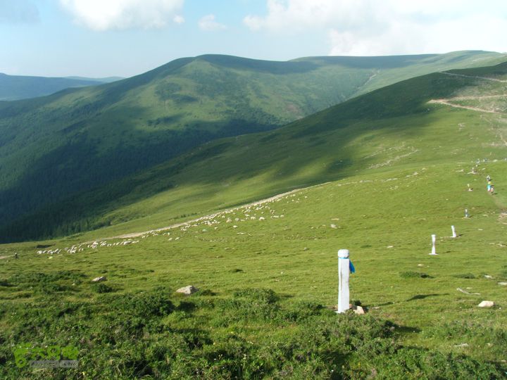 兰若寺—冻冷沟—古北台—北台—中台—西台—吉祥寺—风林寺DSCF7642