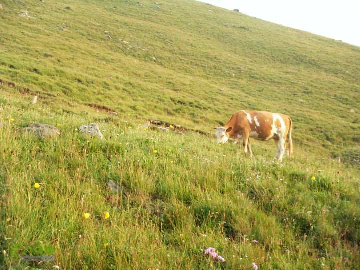 兰若寺—冻冷沟—古北台—北台—中台—西台—吉祥寺—风林寺DSCF7685