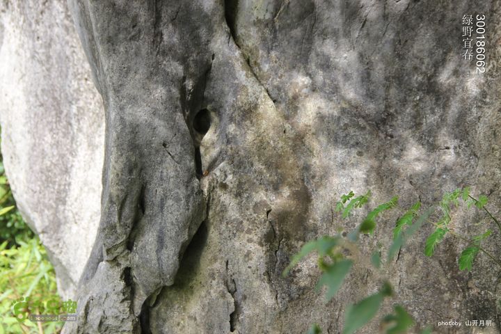 探秘北坛天坑洞，舟行地下河，再看古村四合院我们的绿野生活 10_08_36018
