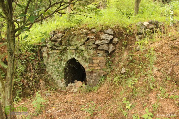 探秘北坛天坑洞，舟行地下河，再看古村四合院我们的绿野生活 10_55_29028