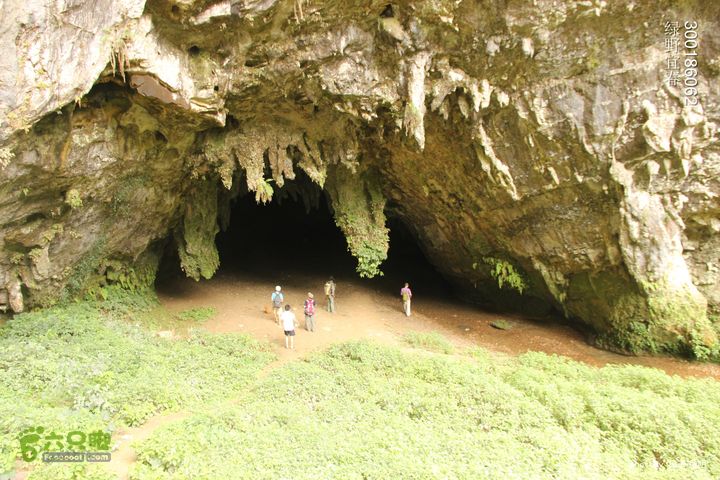 探秘北坛天坑洞，舟行地下河，再看古村四合院我们的绿野生活 11_02_27031