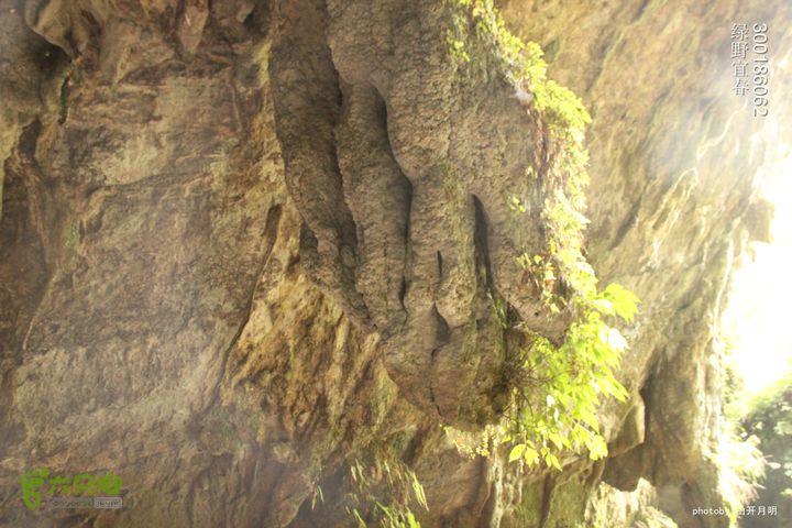 探秘北坛天坑洞，舟行地下河，再看古村四合院我们的绿野生活 11_21_15036