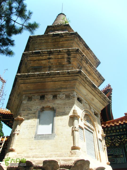 淤白村—白瀑寺—了思台—高崖口DSCF3870