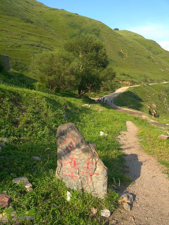 鸿门岩-东-北-中台-八功德水-狮子窝-金阁寺-南台-佛母洞南台将要下到公路前的大树