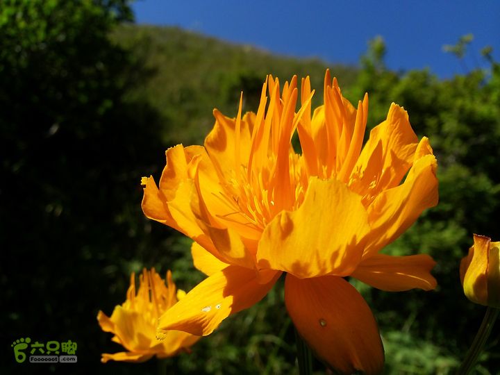 南灵山（石城子山）穿越20130803_150900