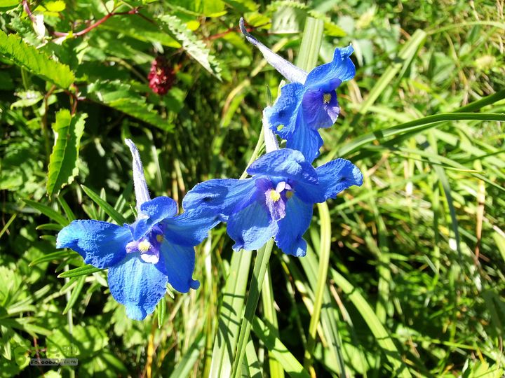 南灵山（石城子山）穿越20130803_150932