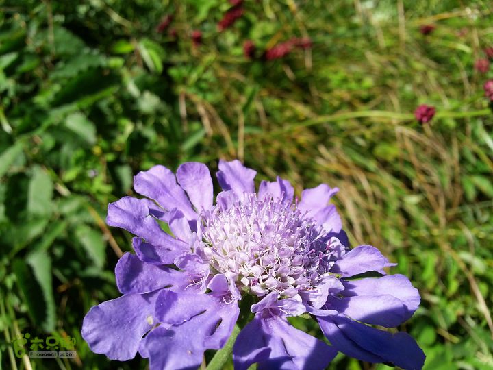 南灵山（石城子山）穿越20130803_150939
