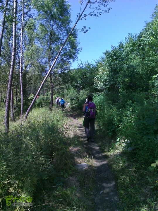 南灵山（石城子山）穿越YP20130803110430337