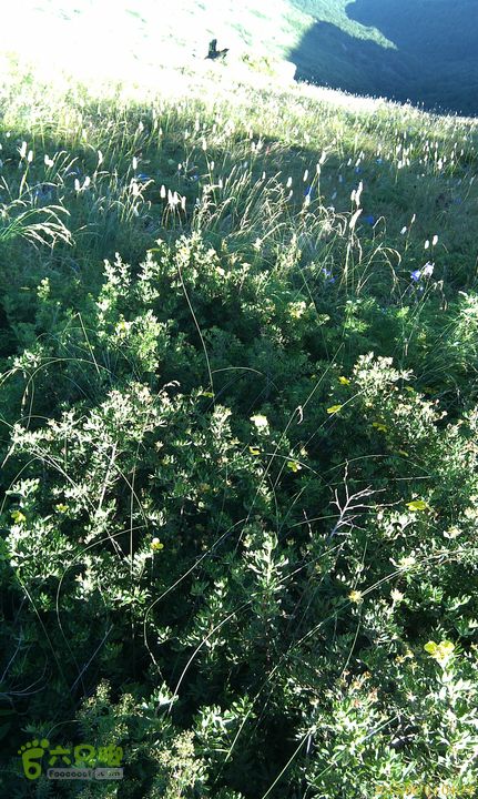 南灵山（石城子山）穿越IMAG1099