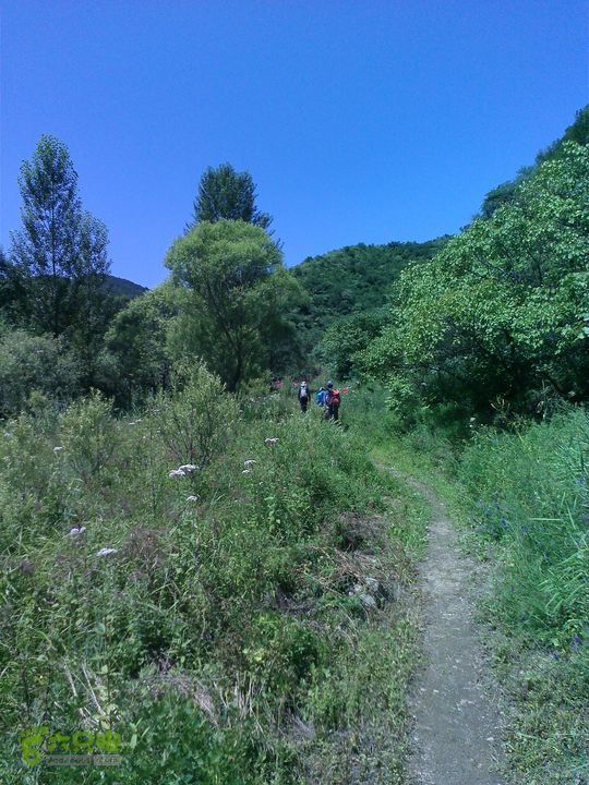 南灵山（石城子山）穿越YP20130803110627379