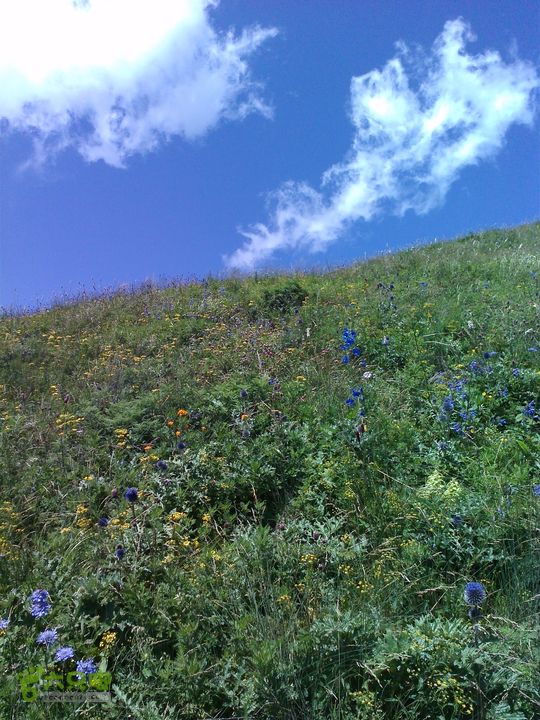 南灵山（石城子山）穿越YP20130803134307485