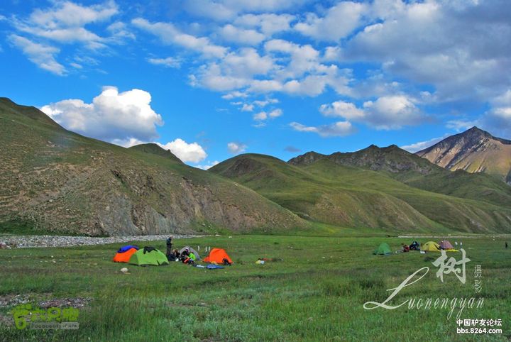 狼塔C+V，200Km，11days（我们队伍用时九天九夜）椒蒿谷，距离鸡爪岔营地半个小时，树摄