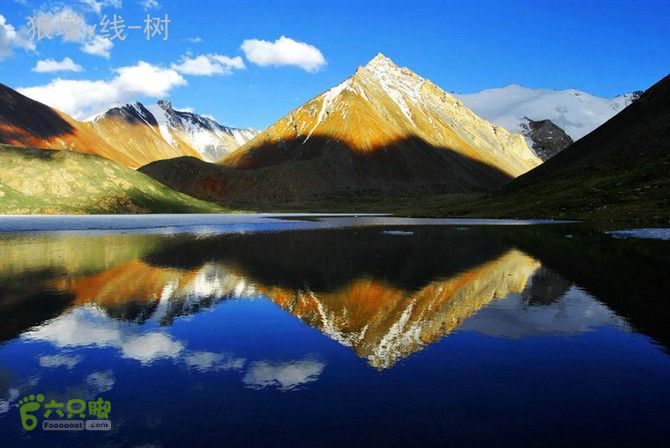 狼塔C+V，200Km，11days（我们队伍用时九天九夜）绿湖，树摄