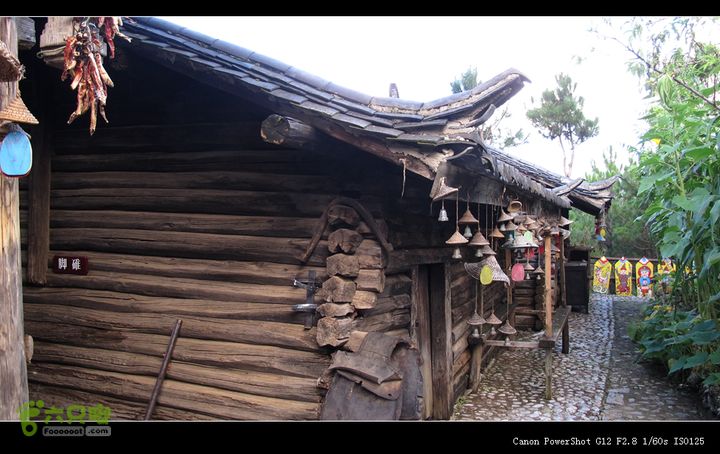 8.9丽江～玉龙雪山IMG_7018