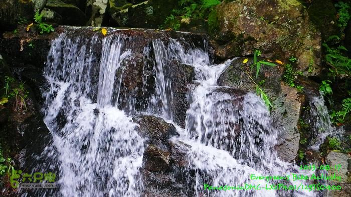 2013 08 17 大埔墟、蓮澳、馬窩、打鐵刃、運頭塘P1560978