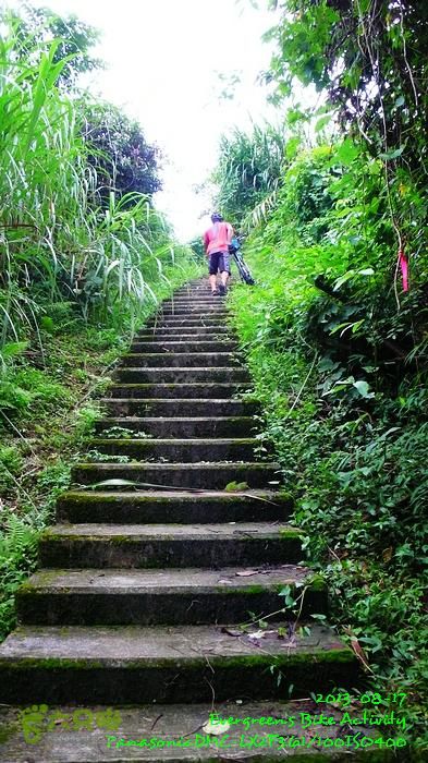 2013 08 17 大埔墟、蓮澳、馬窩、打鐵刃、運頭塘P1560979