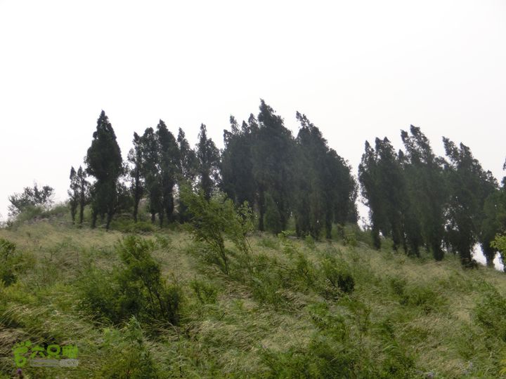 三台山-孟梁台穿越CIMG0446