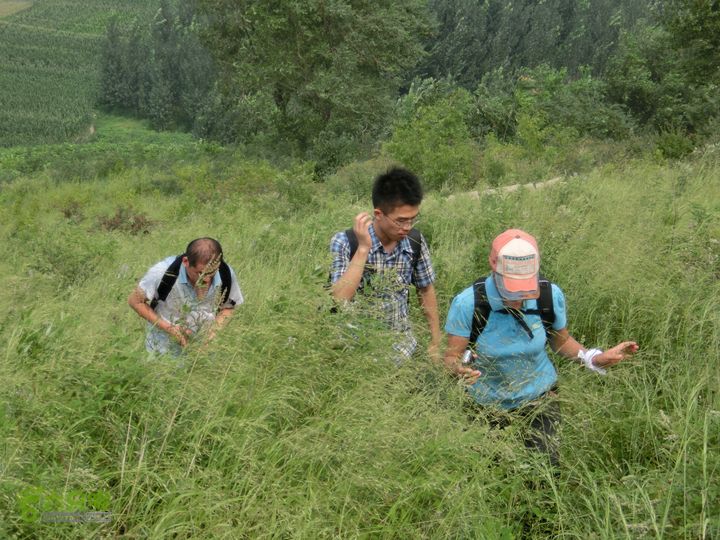 三台山-孟梁台穿越CIMG0449